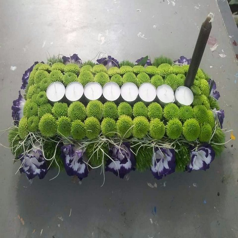 שושניתוש חנוכיית בית הילל