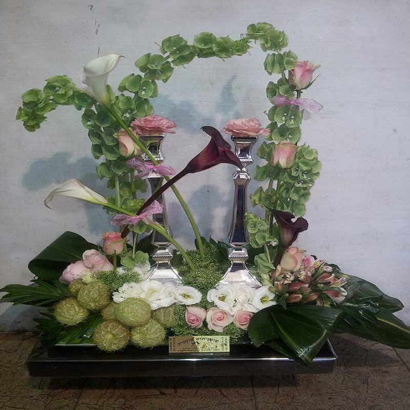 שושניתוש סידור פמוטות וקאלות