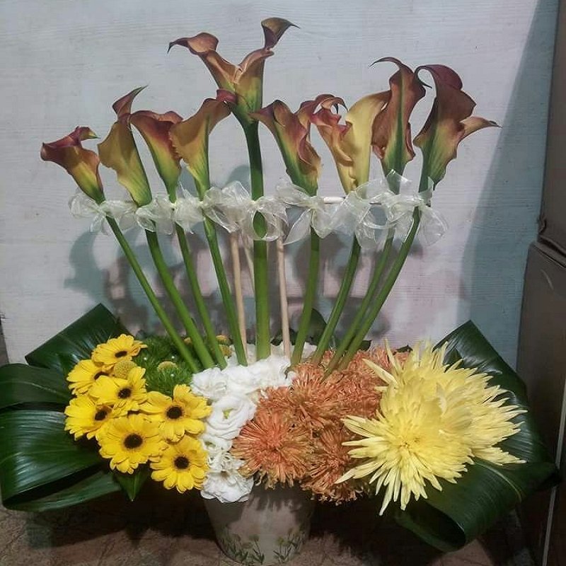 שושניתוש סידור חנוכיית הנפלאות