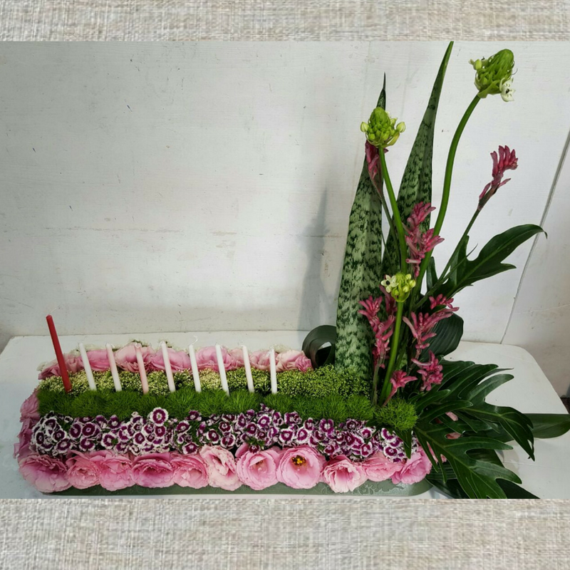 שושניתוש חנוכיית המכבים