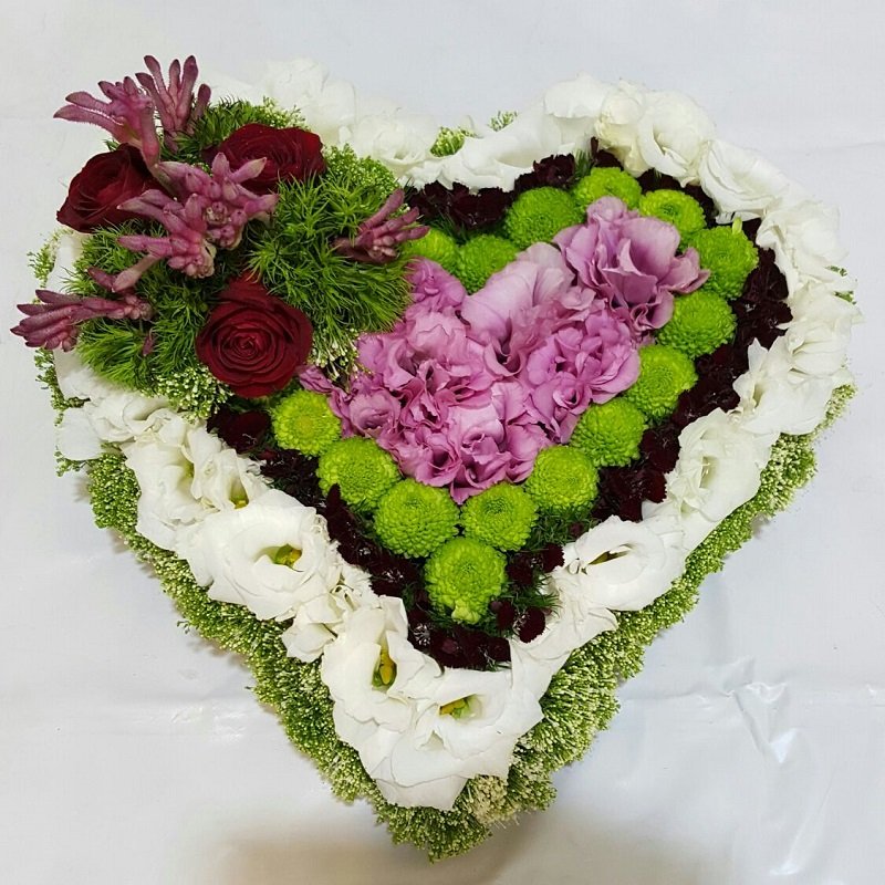 שושניתוש בלב פורח