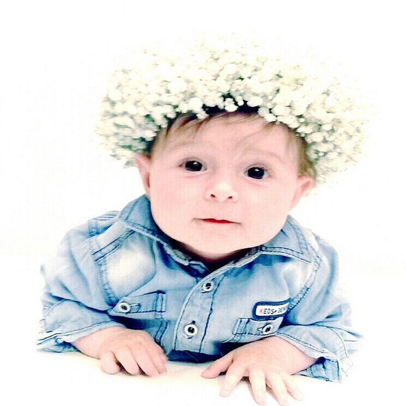 שושניתוש כל אמא רוצה