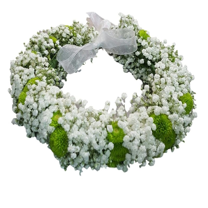 שותניתוש ירוק לבן