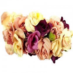 שושניתוש זר לראש