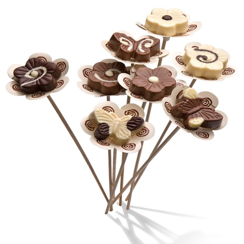 פרח מריר-חלב-לבן