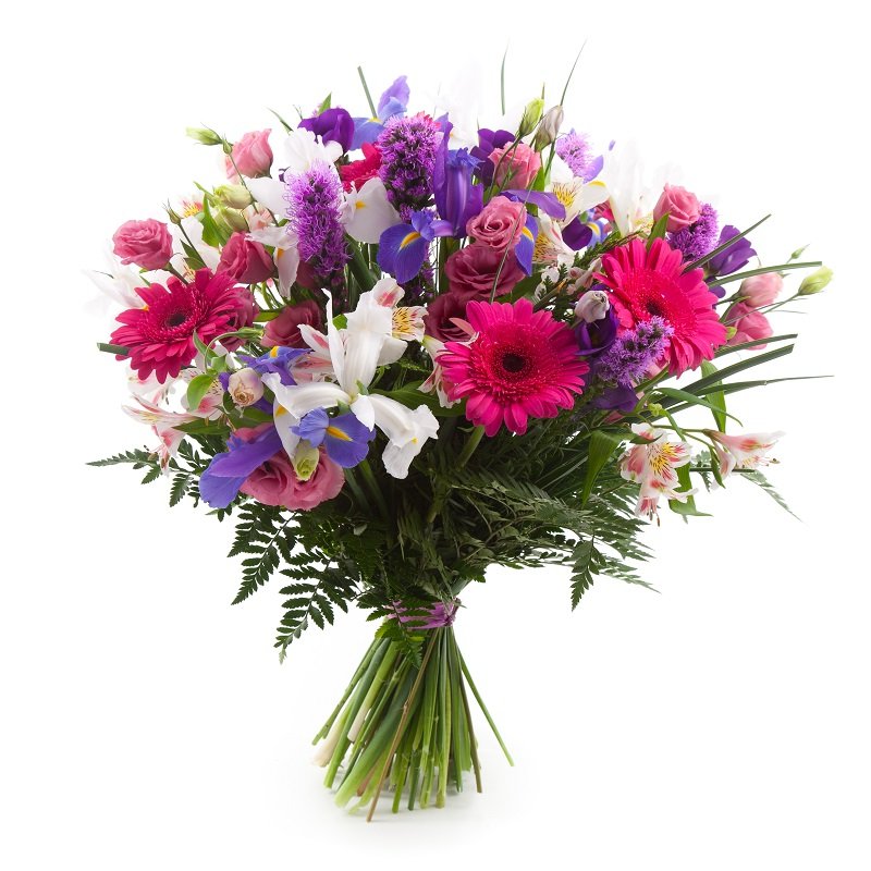 שושניתוש בחיוך סגלגל