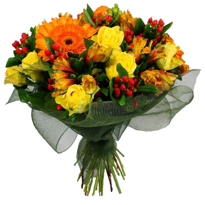 שושניתוש על האש