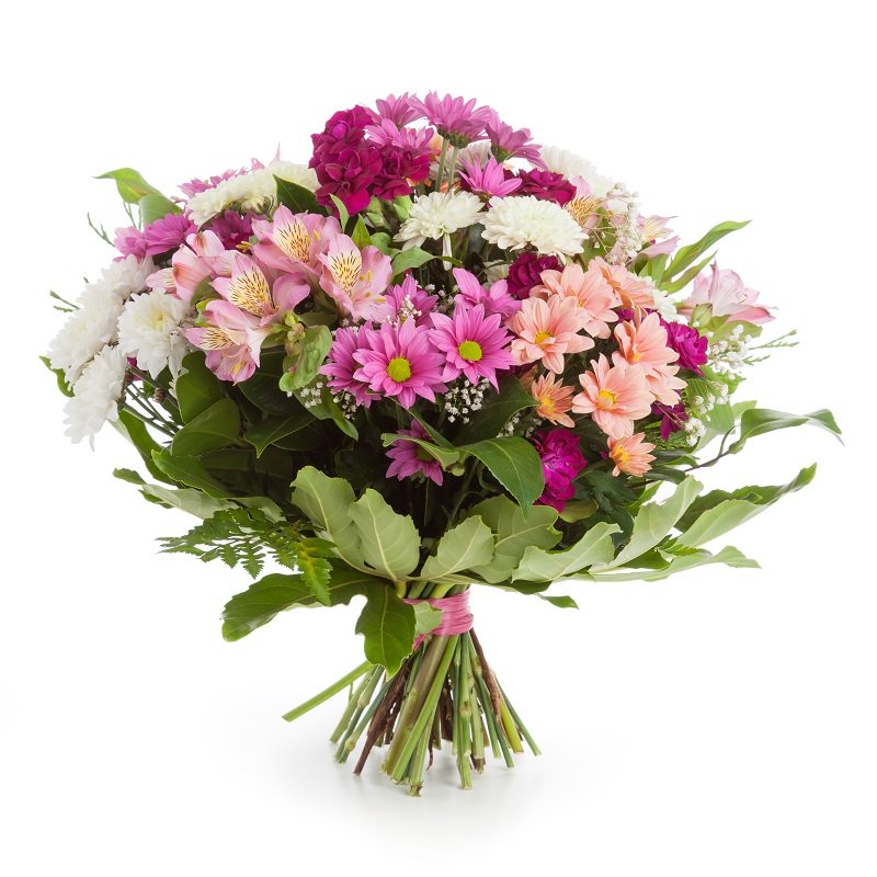 שושניתוש מיקס חרציות מגניב