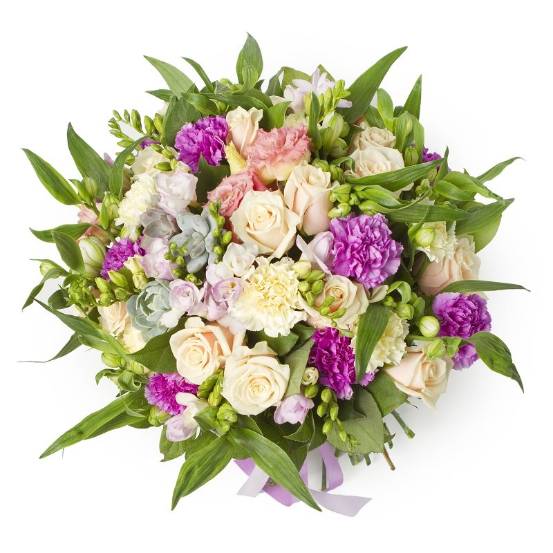 שושניתוש כפרי זה אני