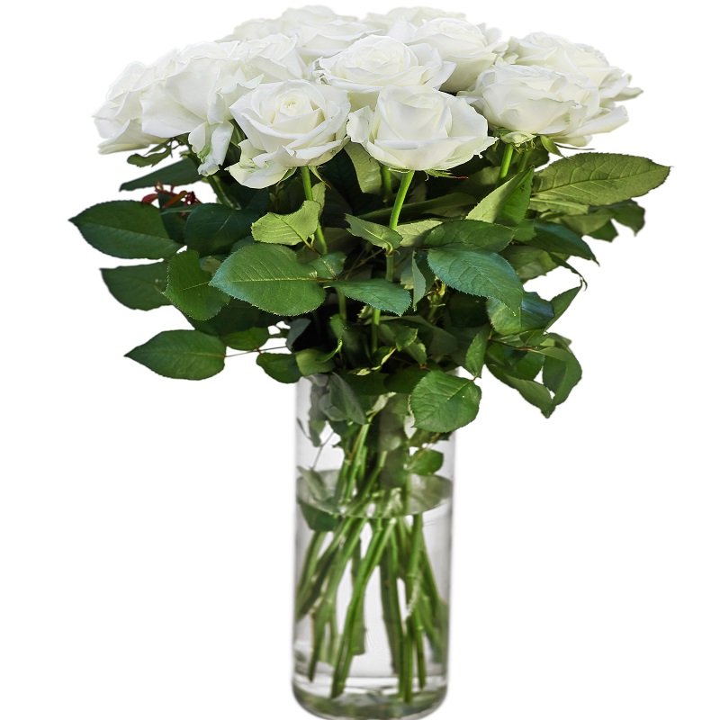 שושניתוש עדין ורך לכלה