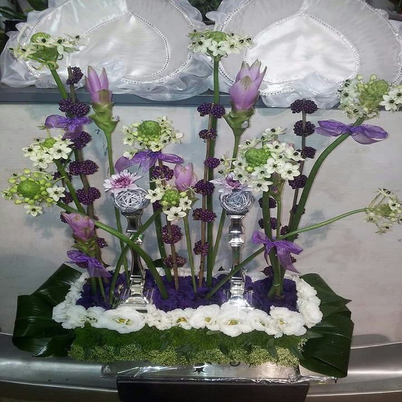 שושניתוש סידור פמוטות בסגול