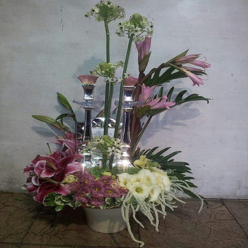 שושניתוש סידור פמוטות נץ החלב