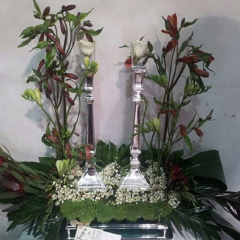 שושניתוש סידור פמוטות פרוע