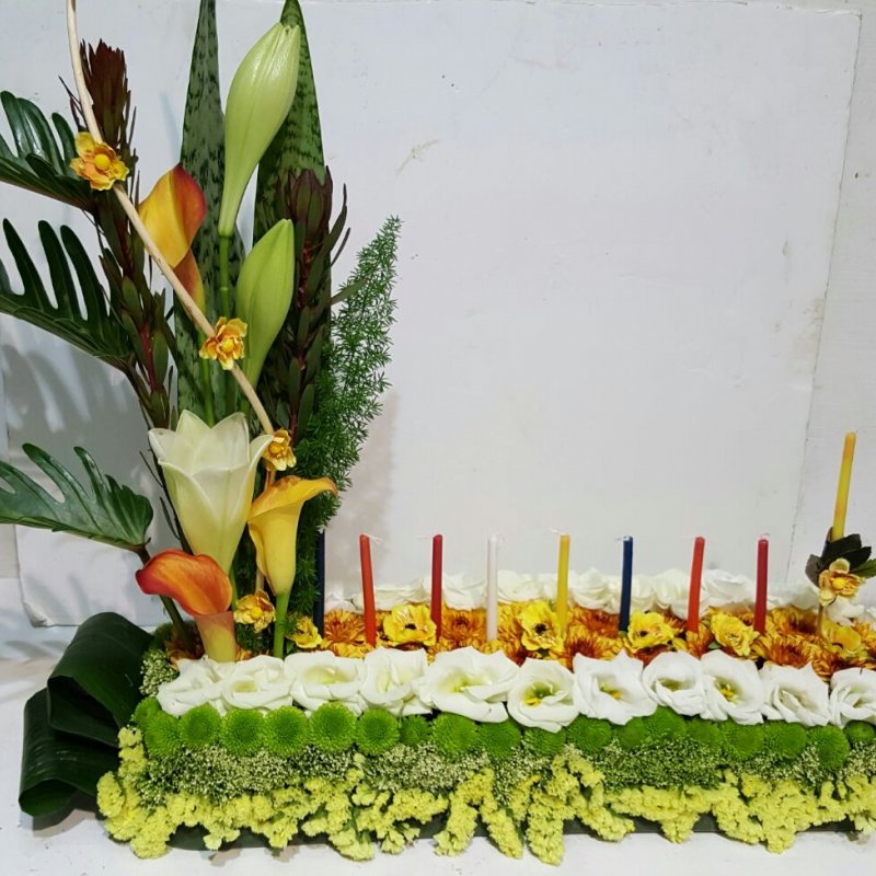 שושניתוש חנוכיית המאור