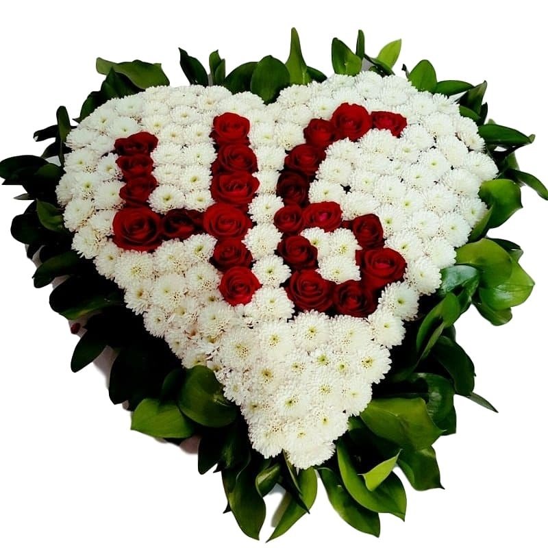 שושניתוש בלב נרגש