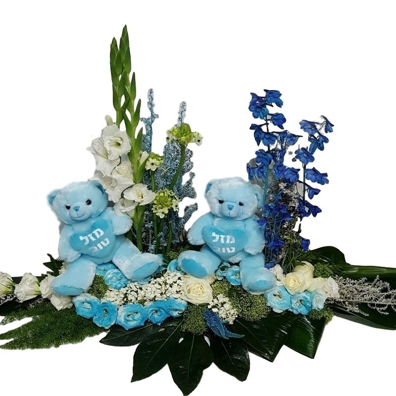 שושניתוש סידור ללידת תאומים