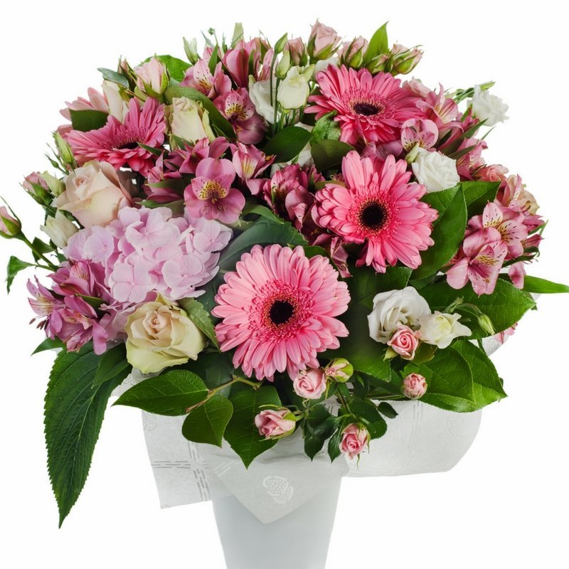 שושניתוש הורוד הזה מדליק אותי