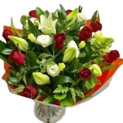 שושניתוש אהבה קסומה