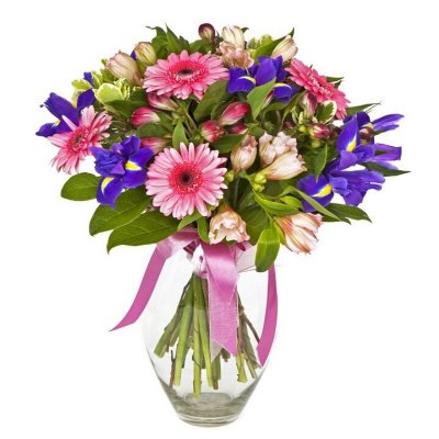 שושניתוש בורוד סגול רגיש