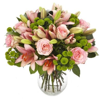 שושניתוש בורוד עדין