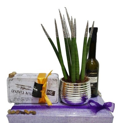 מארז שי עציץ ושוקולד